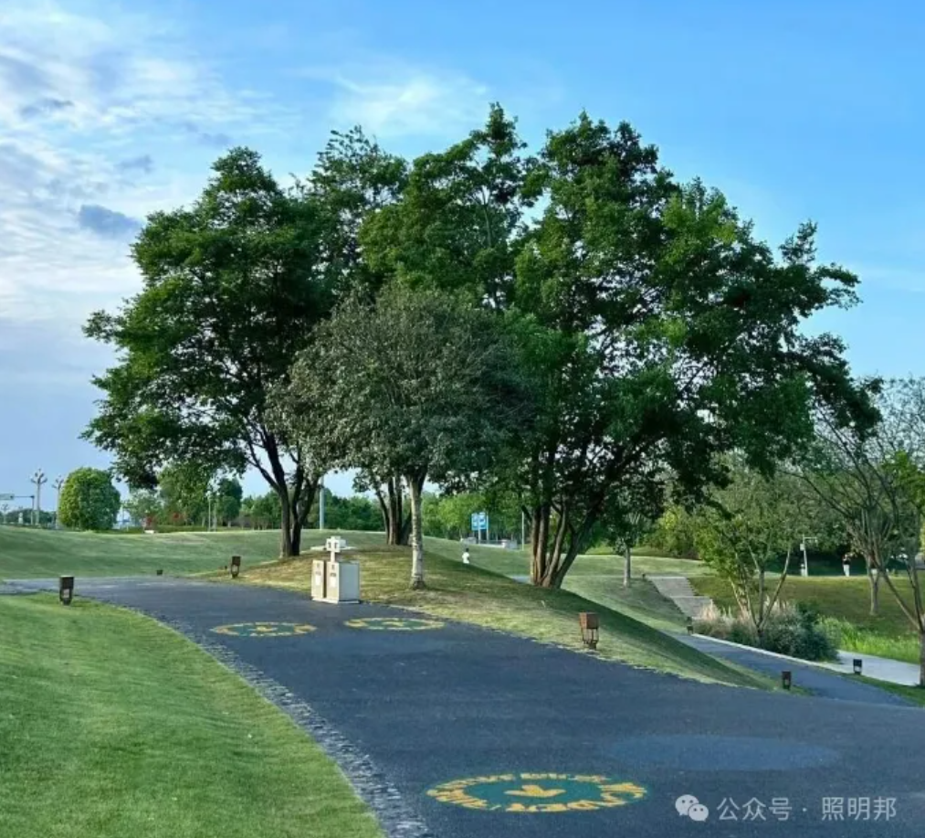 LED 灯光效果图 节日亮化